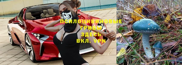 mdpv Липки